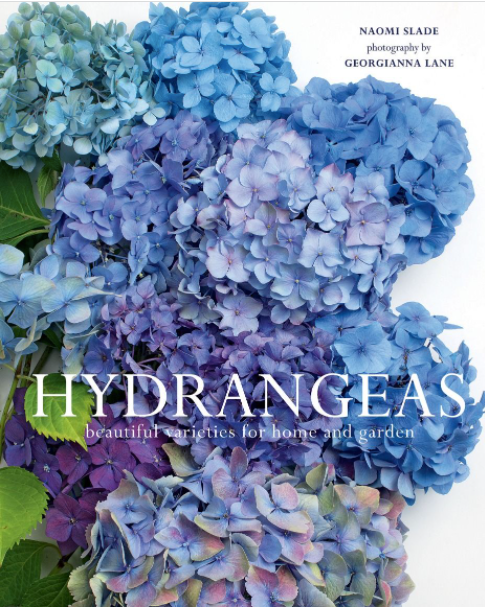 Hydrangeas
