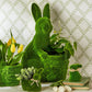 HOPPY EASTER FAUX MOSS BUNNY BASKET - 2 Styles