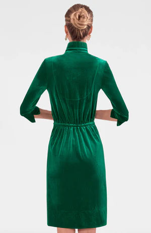 Twist & Shout Dress - Green Silky Velvet