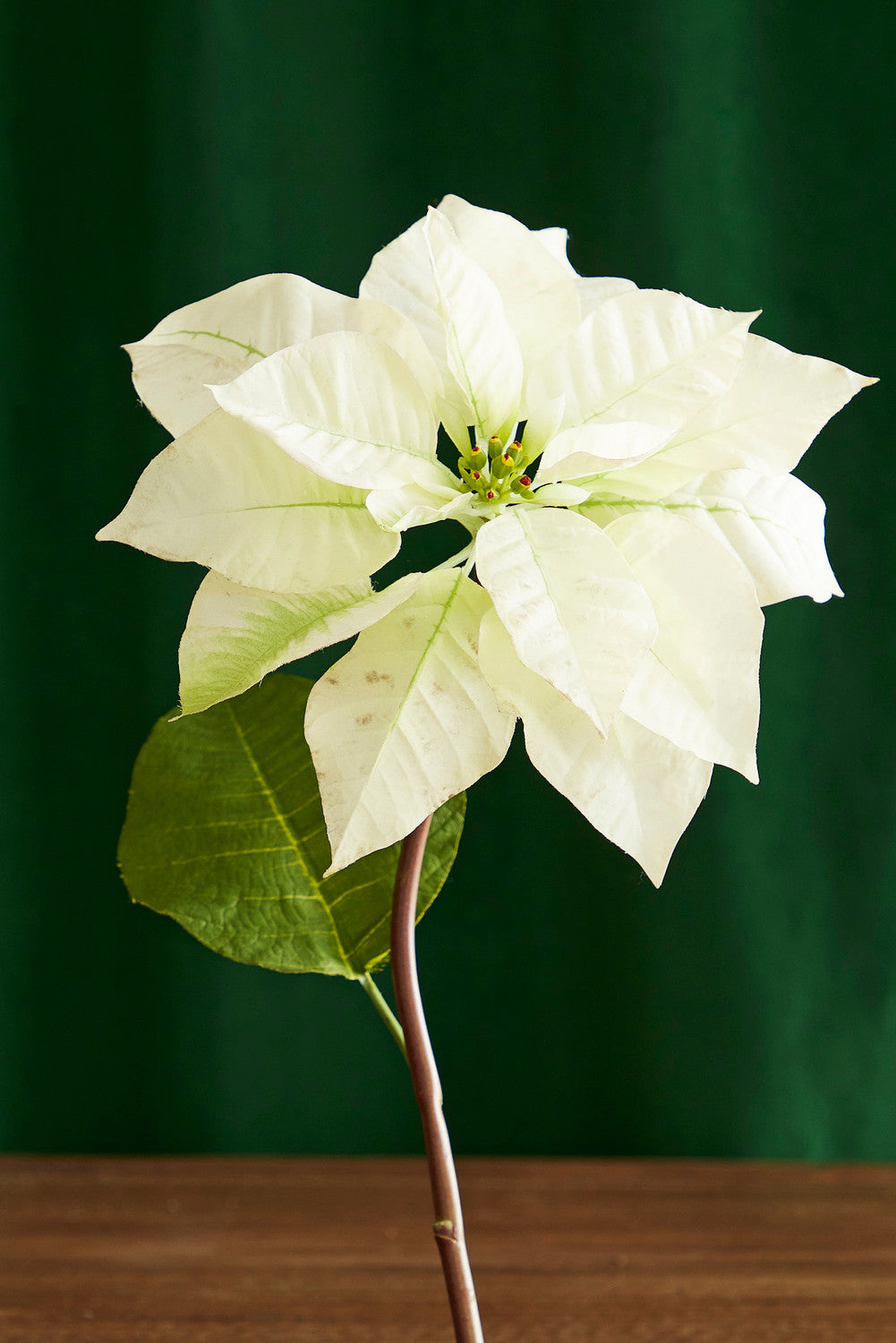 Raz 24" Cream Poinsettia Stem Christmas Tree Accessory