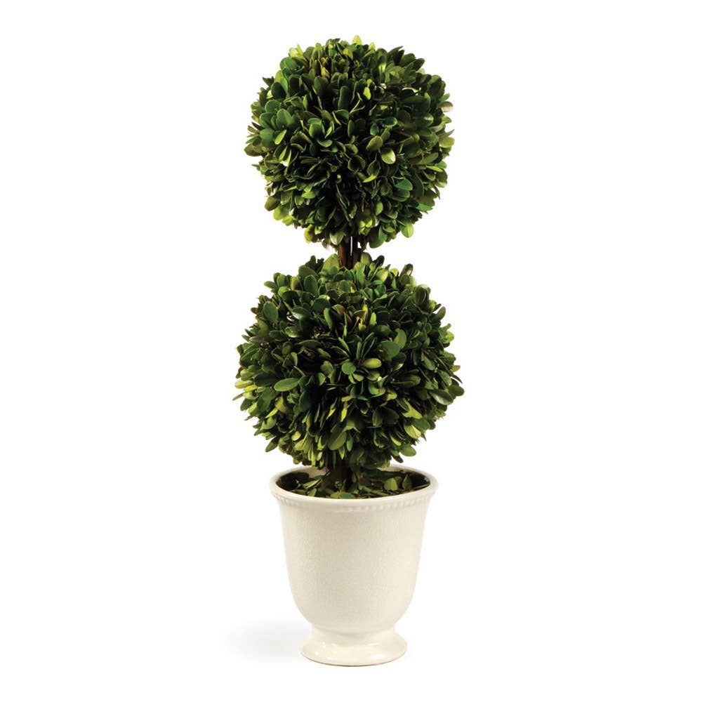 Boxwood Double Ball Topiary In Beaded White Pot